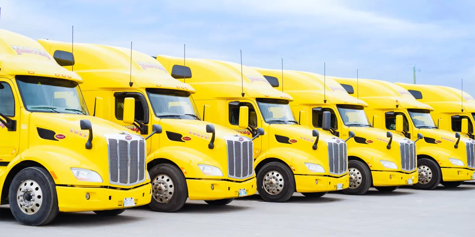 Trappers Transport's fleet of trucks.