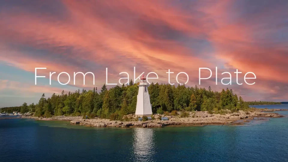 Lighthouse on Lake Huron, in Ontario, where freshwater fish are caught and shipped across Canada and cross-border to the USA. Caption reads "From lake to plate."