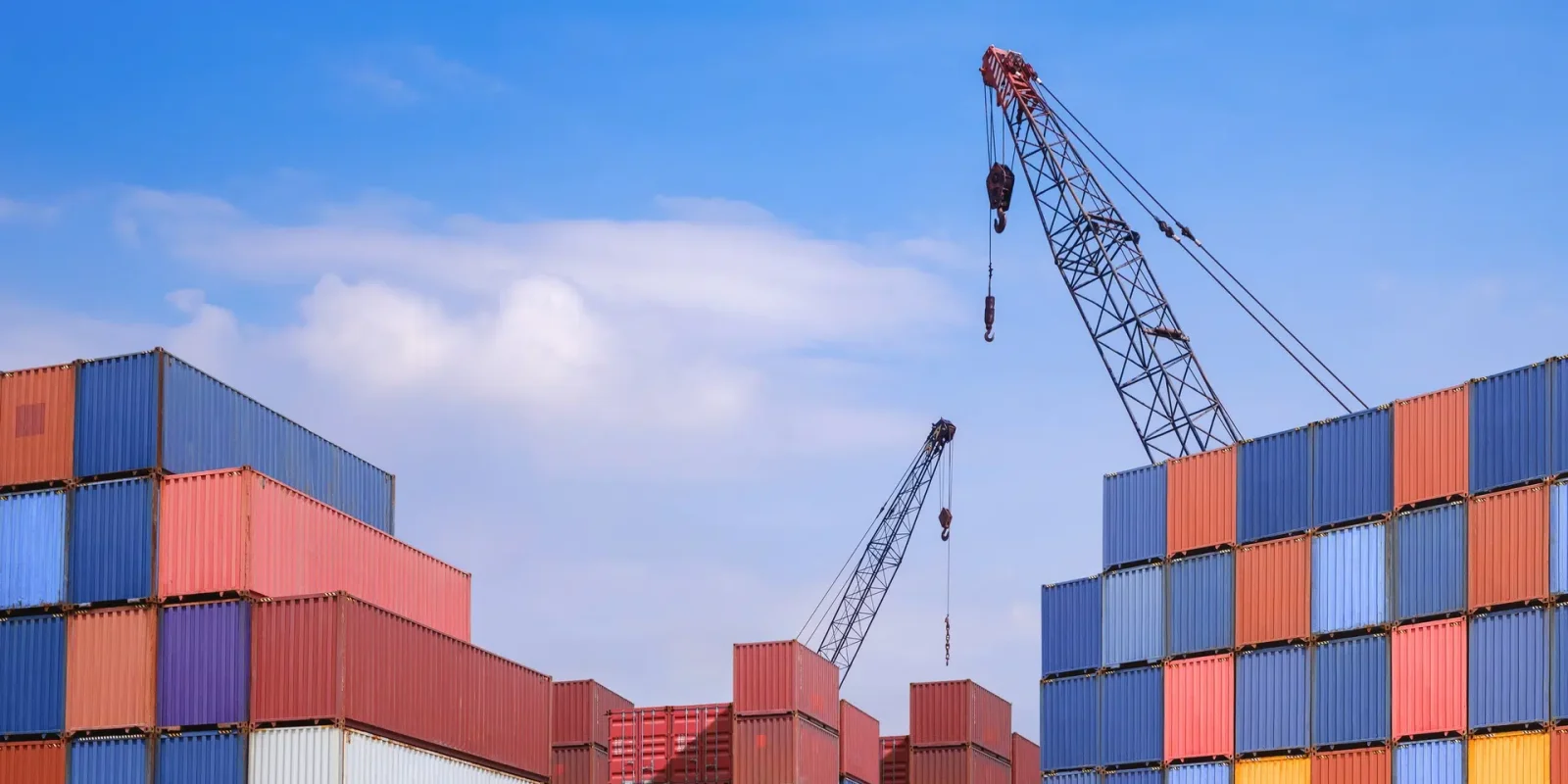 A pair of cranes at the Trappers Transport dockyard. Temperature controlled transport containers are stacked together in rows.